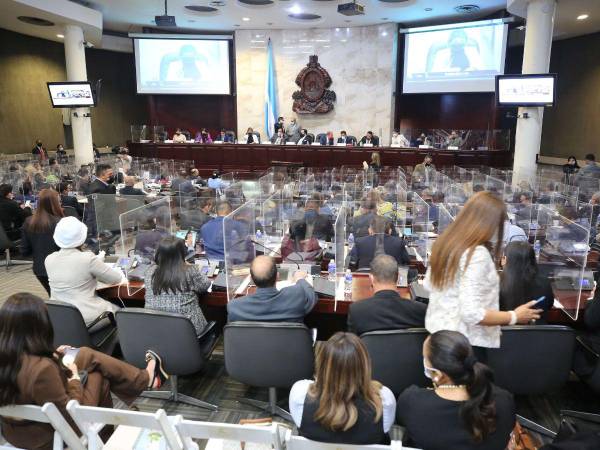 La reforma pasó el primer debate en el Congreso Nacional, pero aún hacen falta dos debates para saber si se somete a votación.