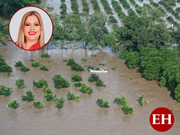 “50 millones de lempiras son insuficientes para las emergencias que hay en el valle de Sula, hay muchos daños que todavía no se han reparado y estamos en riesgo”, lamentó la parlamentaria.