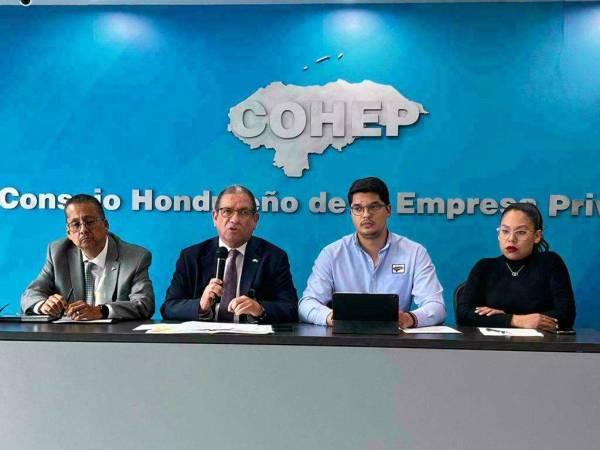 Los delegados del Cohep salieron al paso el jueves por el contenido de la presentación realizada por el director del SAR, Marlon Ochoa, relacionada con la Ley de Justicia Tributaria, coincidiendo que la intención es que no hayan organizaciones que cuestionen la administración pública.