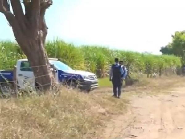 El cuerpo de la víctima fue encontrada en medio de las cañeras.