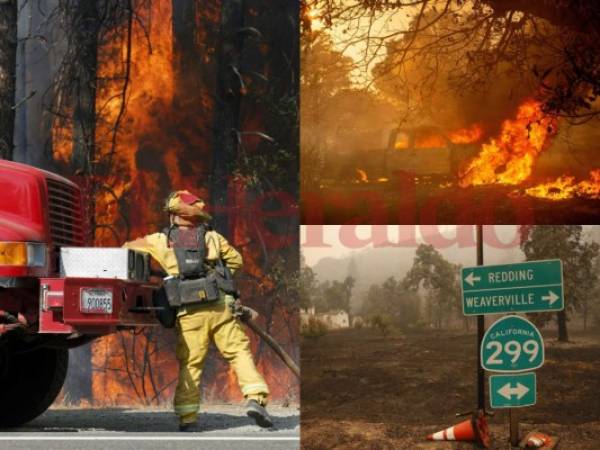 Cerca de 12,000 bomberos luchan contra las llamas de 17 grandes incendios que avanzan sin control, convirtiendo en cenizas un área de 800 kilómetros cuadrados, cuatro veces la ciudad de Buenos Aires. Foto: Agencia AFP