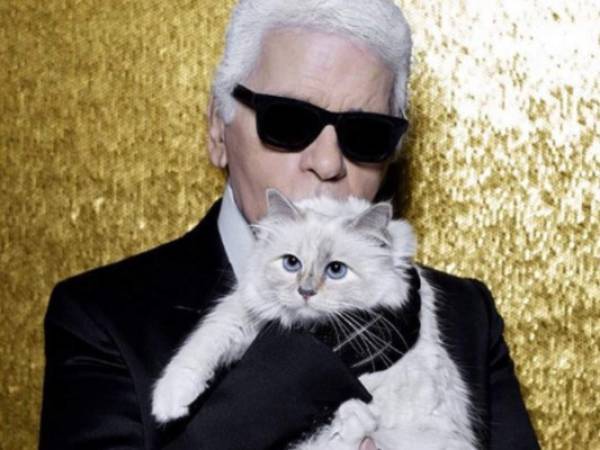 La gata Choupette llegó a manos de Karl Legarfeld luego que un amigo le pidiera que la cuidara mientras él salía de vacaciones, desde entonces fueron inseparables. Conoce más datos de la millonaria mascota del famoso diseñador. Foto: Instagram