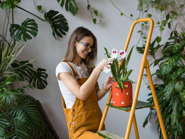 Comprender las necesidades de sus plantas conducirá a una reducción del estrés, un aire más limpio y un entorno placentero.