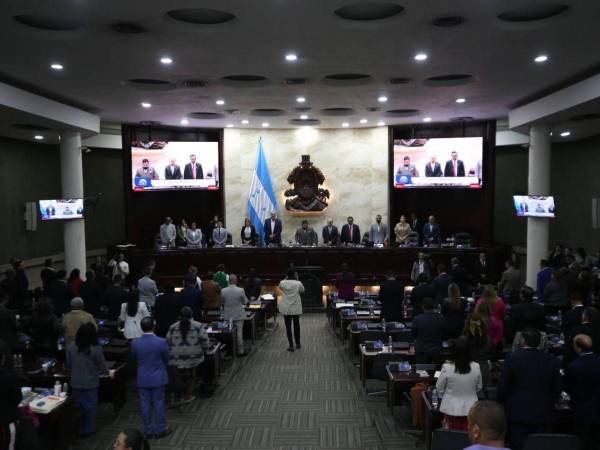 Desde la oposición, diputados aseguran que extensión del plazo lleva intenciones ocultas del oficialismo de Libertad y Refundación para cometer nuevas ilegalidades.