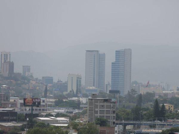 Luego de estar bajo una capa de humo la visibilidad está mejorando notablemente en la ciudad, la contaminación fue muy alta.