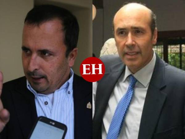 A la izquierda, el diputado Sergio Castellanos. A la derecha, el exembajador Hugo Llorens.