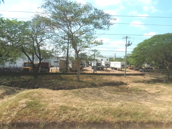 Los pedidos de camarón hacia México están paralizados en las plantas de Choluteca y Valle.