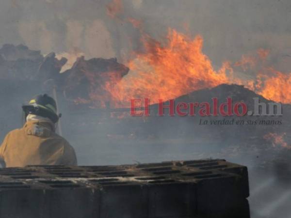 Se registró el primer incendio forestal en Honduras, según autoridades del ICF.