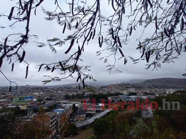 Se espera un descenso en las temperaturas en la mayor parte del territorio nacional.