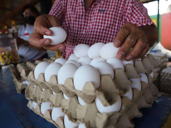 Los productores de huevos aseguran que el alza del huevo se deriva del encarecimiento de los alimentos e insumos importados.