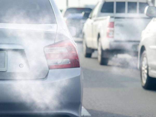 La contaminación atmosférica no se relaciona solo con el cáncer, sino con la enfermedad pulmonar y cardiaca, y también con la demencia, apuntó Joel Schwartz, profesor de epidemiología ambiental de la Facultad de Salud Pública de la Universidad de Harvard, en Boston.