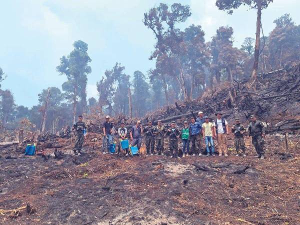 La estrategia tiene como fin proteger las principales reservas de bosques del país, especialmente la Reserva del Hombre y Biósfera de Río Plátano.