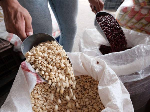 De los dos granos más cotizados en los mercados capitalinos, los frijoles son los que han tenido el impacto más agresivo con un aumento de más de 20 lempiras por medida.