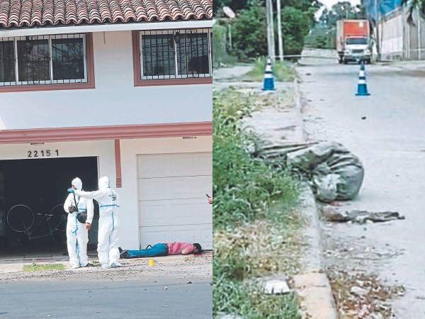 En una jornada violenta, al menos seis sangrientos crímenes se registraron en las últimas 24 horas en diferentes zonas del territorio nacional.