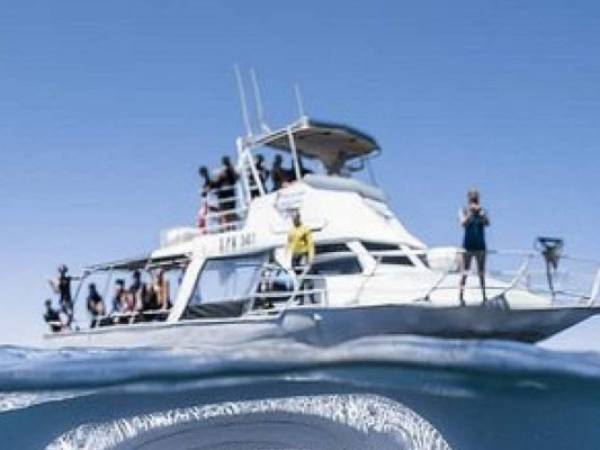 Las personas en el barco no se dieron cuenta de lo que estaba pasando bajo su embarcación.