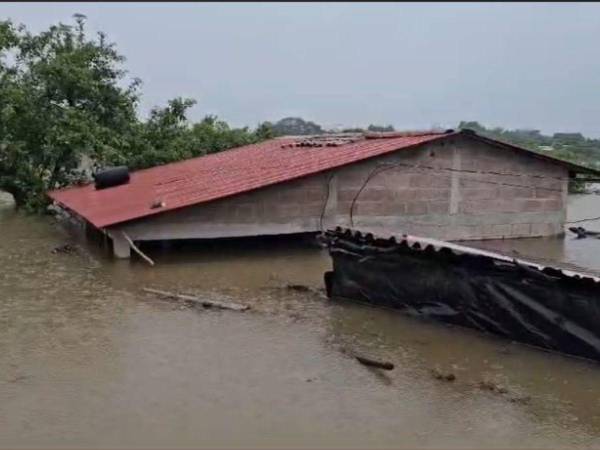 El Cubulero, en el municipio de Alianza, Valle, ha sido severamente afectado por las intensas lluvias de los últimos días, que han provocado la inundación de más de 130 viviendas en la zona.