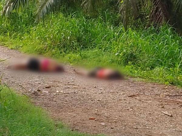 Los cuerpos de las féminas, hasta ahora desconocidas, quedaron tendidos en una solitaria calle de tierra. Ambas vestían shorts de color negro y camisas tipo top de color rojo.