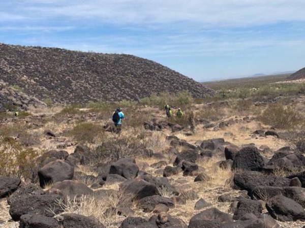 Según los reportes del Proyecto Migrantes Desparecidos de la OIM, más de 700 personas han fallecido por ahogamiento, 582 por accidentes en vehículo y 533 por condiciones ambientales adversas.