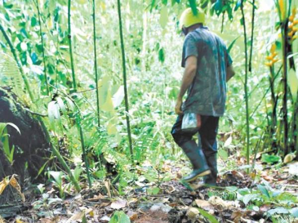 Los vestigios de la Ciudad Blanca serán extraídos con el apoyo de expertos y miembros de las Fuerzas Armadas.