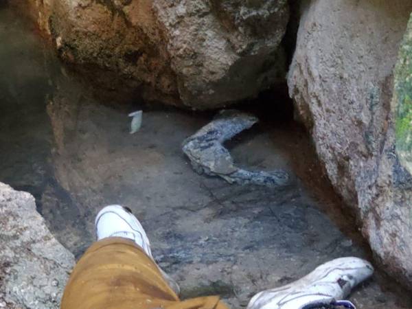 Uno de los cuerpos estaba en estado de putrefacción en la entrada de la caverna.