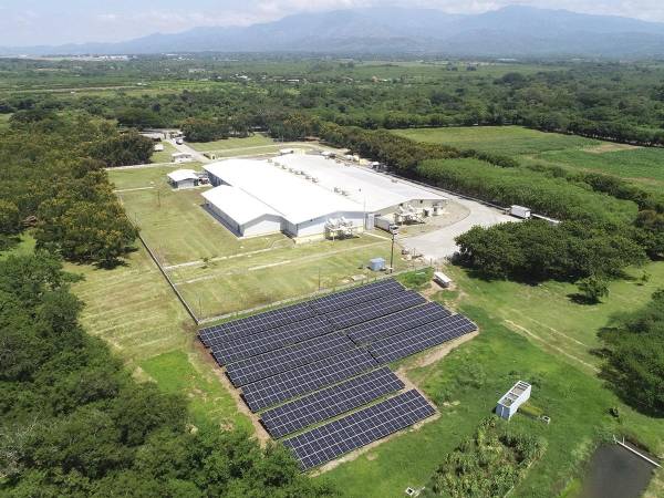 CMI instaló 3,612 paneles solares en cuatro operaciones avícolas en Honduras.