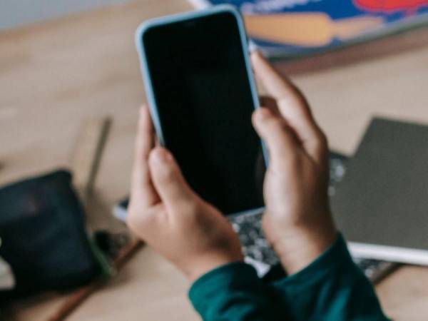 La menor además se llevó el celular con el que se comunicaba con la persona que la instó a huir.