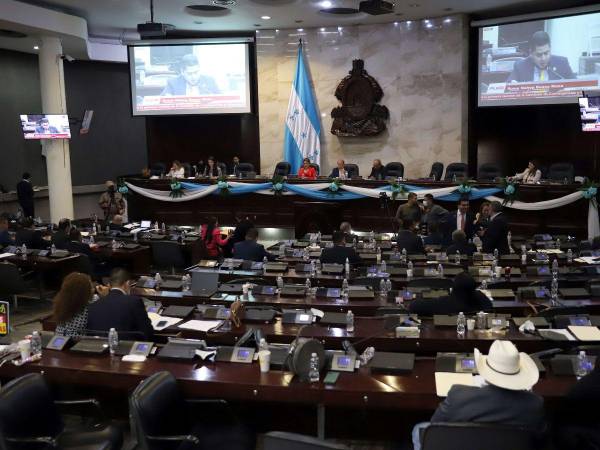 Una baja actividad legislativa ha tenido el actual Congreso Nacional, situación que es criticada por la población hondureña.