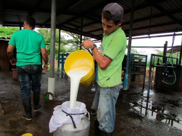 Los ganaderos alegan que no existen las condiciones necesarias para producir este alimento y que el aumento de precio ya está.