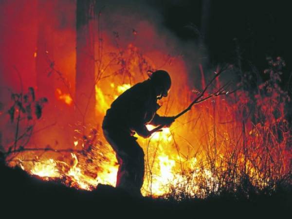 Se quiere prevenir la quema de los bosques en Honduras.