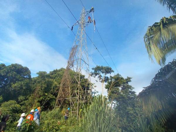 La línea de transmisión del litoral atlántico fue instalada desde hace 40 años.