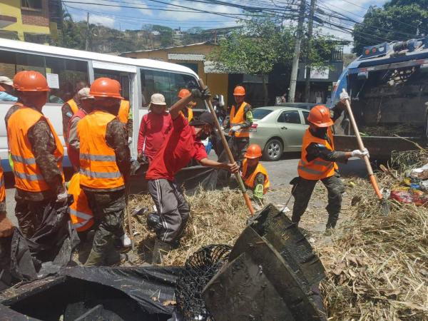 Las Fuerzas Armadas apoyan a la Alcaldía en el proyecto “Lucha contra la basura”.