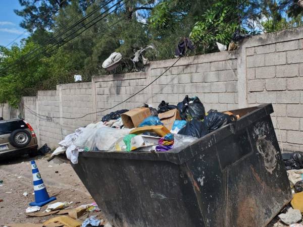 Dentro de una caja fue depositado el feto para su levantamiento.