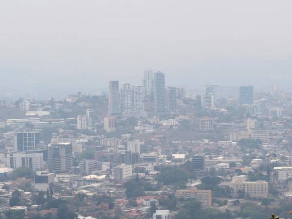 El incendio fue controlado por los bomberos, pero dejó una densa nube de humo en las áreas aledañas.