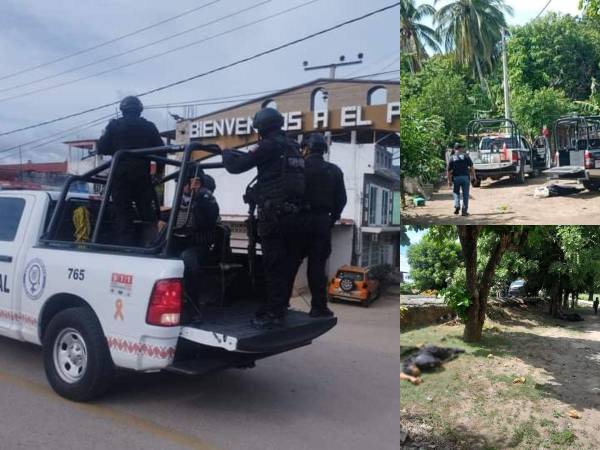 Un total de 11 elementos de la Policía, junto al secretario de Seguridad Pública, Alfredo Alonso López y el director de Seguridad Pública, Honorio Salinas Garay, de la ciudad de Coyuca de Benítez, estado de Guerrero, mientras se desplazaban en una zona rural del municipio. La Fiscalía ya analiza líneas de investigación para dar con el paradero de los atacantes. A continuación los detalles.