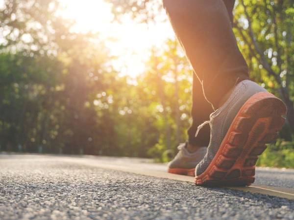 Desde utilizar las escaleras y salir a caminar hasta practicar natación y pesas, encuentre la manera de dejar de lado el sedentarismo.