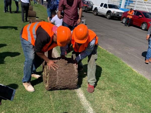 El césped híbrido es un poco más que tejer el plástico con la hierba, pues varias máquinas se encargan de enterrar millones de fibras plásticas en el campo de juego.