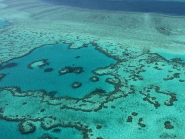 Según indica este estudio, cuando el agua marina empezó a calentarse el pasado diciembre, las tres grandes regiones del arrecife experimentaron blanqueamiento.