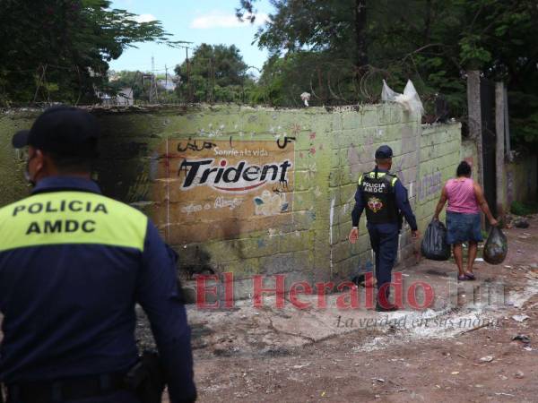 Actualmente la acera frente a la Escuela Experimental de Música luce libre de basura.