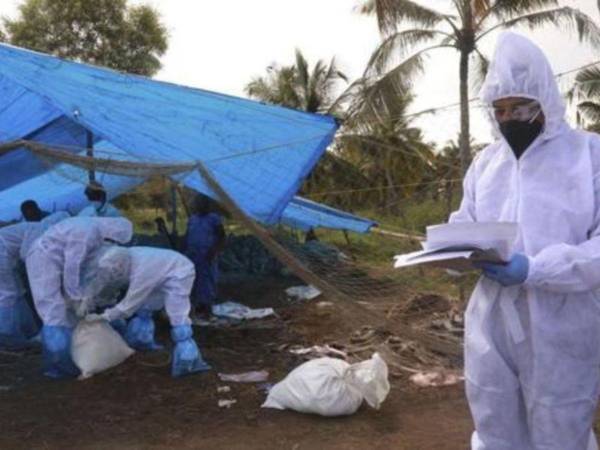 Las autoridades informaron que cerca dee 40,000 aves de corral han sido evaluadas y no se han encontrado indicios de gripe aviar hasta el momento.