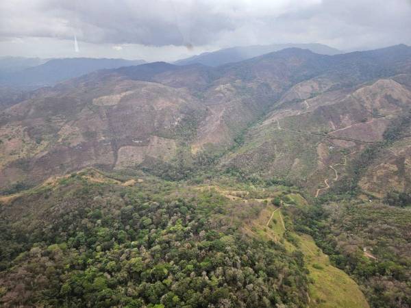 Gobierno acuerda con ganaderos suspender desalojos en la Biósfera del Río Plátano