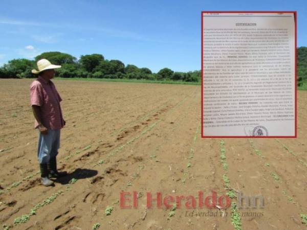 Debido a la falta de lluvias este año los agricultores se verán afectados al no poder producir los granos básicos y otros cultivos necesarios para la subsistencia de las familias.