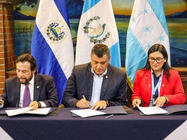 Los países firmantes fueron representados por el vicepresidente de Guatemala, Guillermo Castillo; de la República de El Salvador, el vicepresidente Félix Ulloa; y de parte de Honduras, Sua Martínez Ibarra, secretaria de la Comisión Interinstitucional contra la Explotación Sexual Comercial y Trata de Personas.