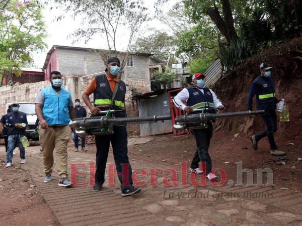 Las intervenciones las realiza el personal de la Alcaldía con fumigación, entrega de BTI y eliminación de criaderos.