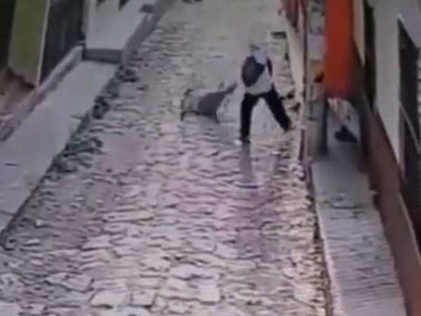 El momento en que el sujeto le disparó a la joven para luego robarle quedó captado en video.