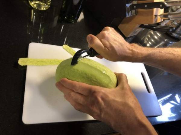 La piel de la calabaza blanca, el primer encuentro con esta embajadora de América.