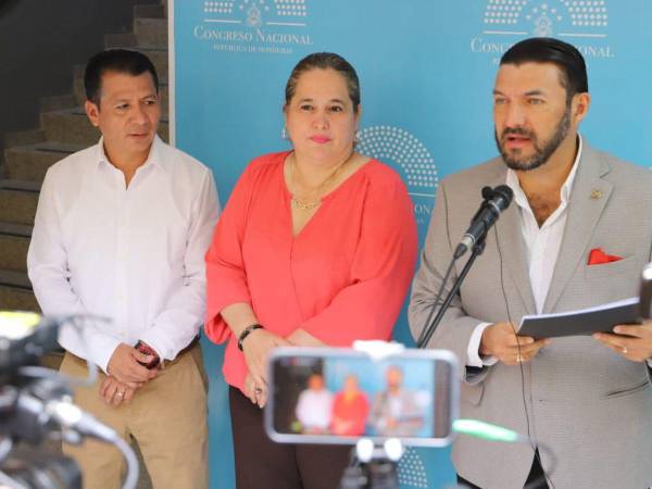 Julissa Villanueva fue la promotora de este anteproyecto.