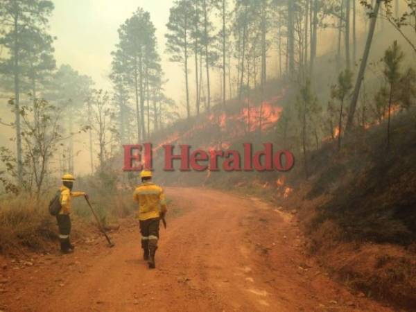 Desde hace varias horas se está trabajando para apagar las llamas. Foto: ICF