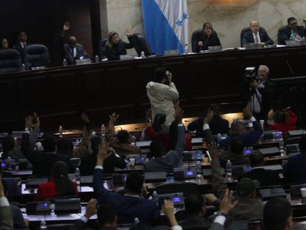 El Congreso Nacional durante una sesión en diciembre de 2024.