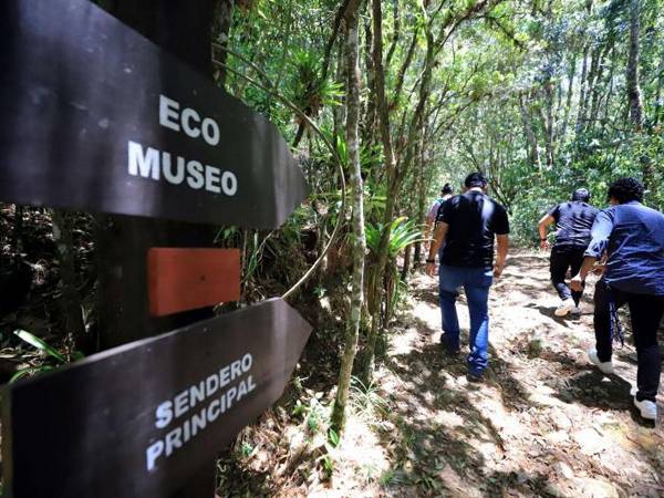 El lugar perfecto para desconectarse de la ciudad y conectarse con la naturaleza.