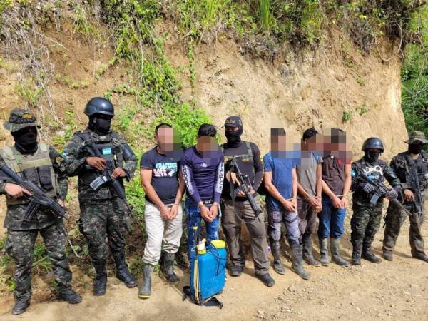 Los agentes de las Fuerzas Armadas han montado operativos para erradicar la narcoactividad en Colón.